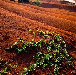 《最终幻想起源：天堂的陌生人》最新战斗介绍 游戏3月18日发售