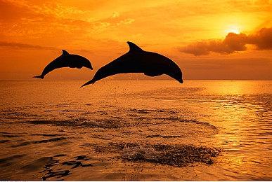 《漫威争锋》第一赛季通行证“黑暗神书”公开 包含10款外观